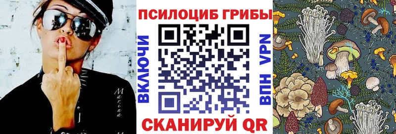 Псилоцибиновые грибы прущие грибы купить Ессентукская